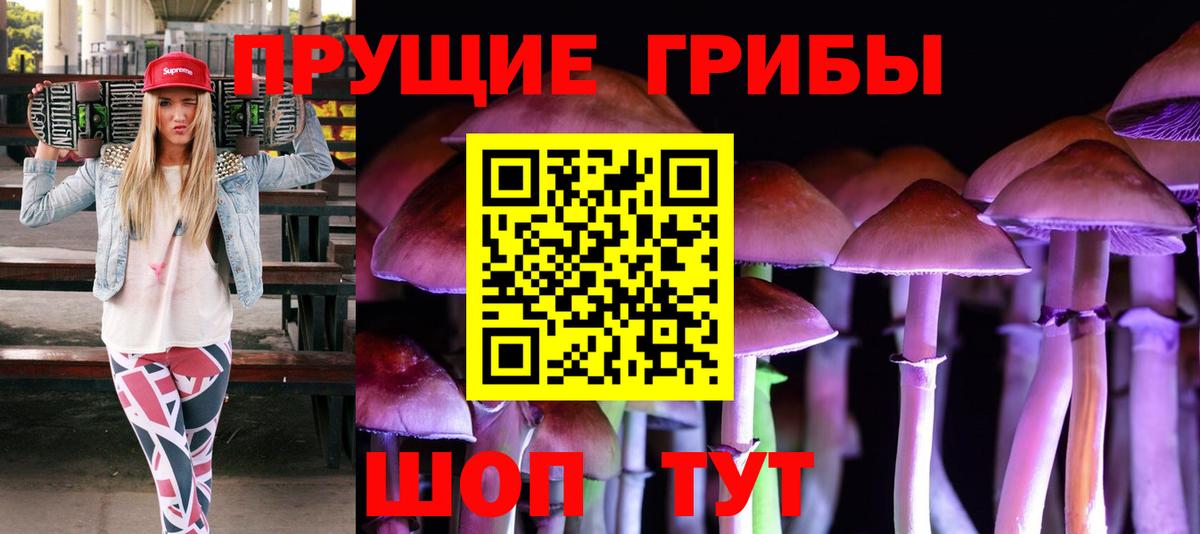 Сочи  Псилоцибиновые грибы Magic Shrooms  Вход с VPN 